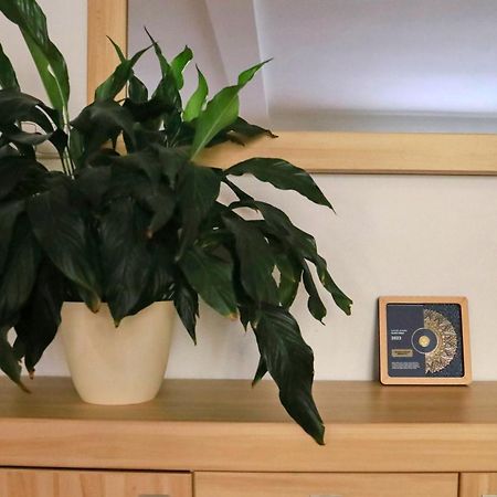 Apartmany Na Sumave Kasperske Hory Bagian luar foto
