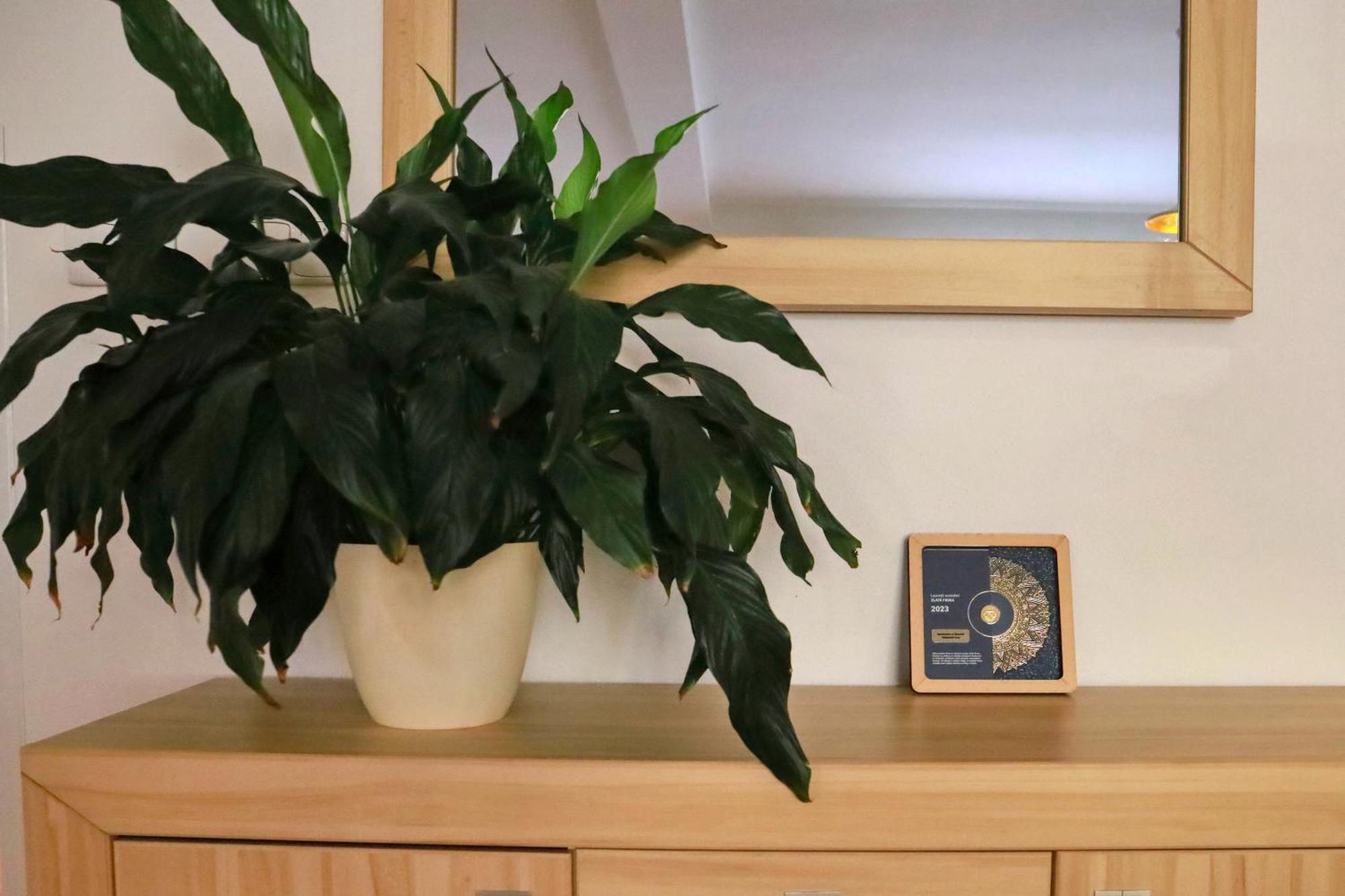 Apartmany Na Sumave Kasperske Hory Bagian luar foto